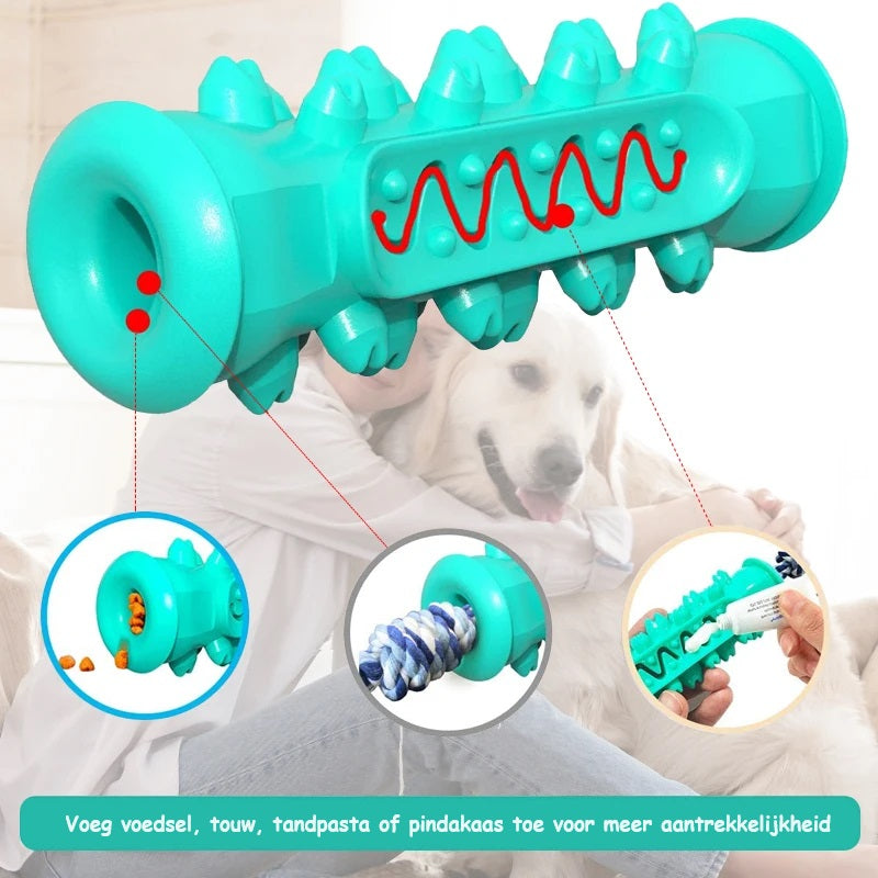 BrushBuddy™ | Healthy Teeth for Your Dog