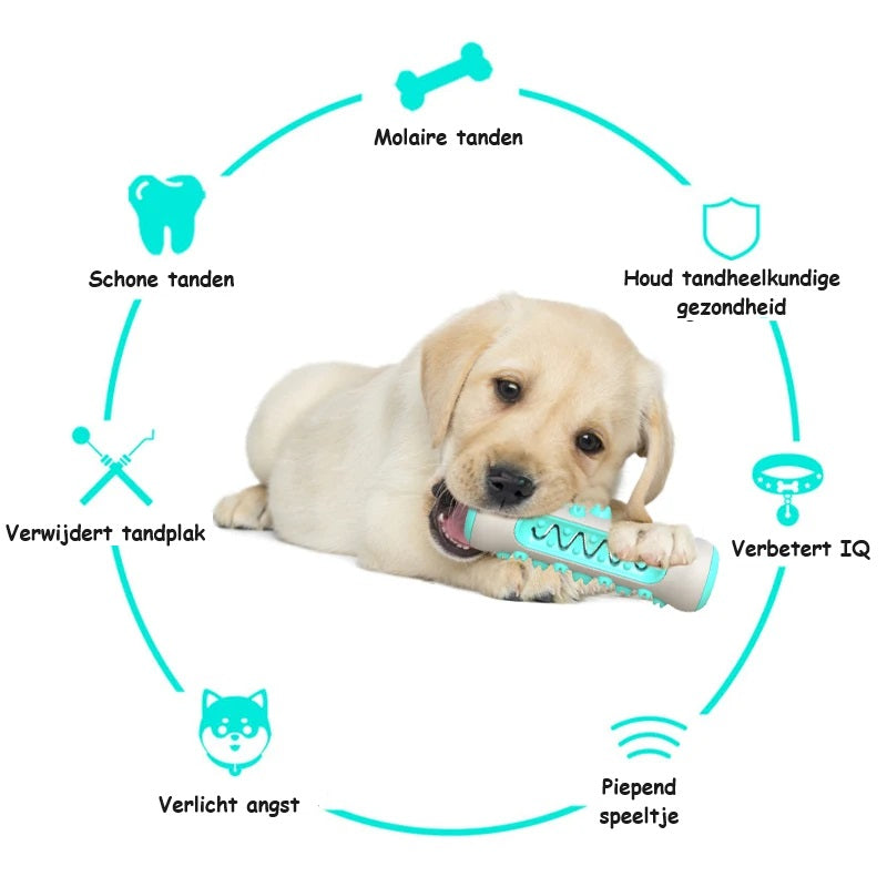 BrushBuddy™ | Healthy Teeth for Your Dog