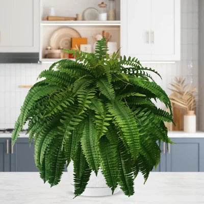 UV-resistant, lifelike artificial Boston Fern