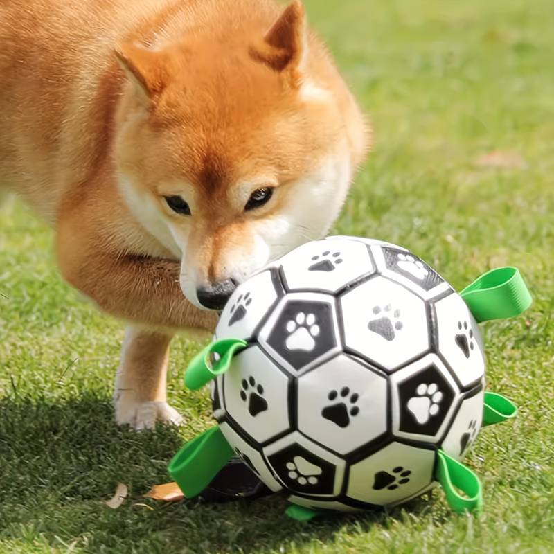 FlapFetch™ | Makes Dogs Happy and Active