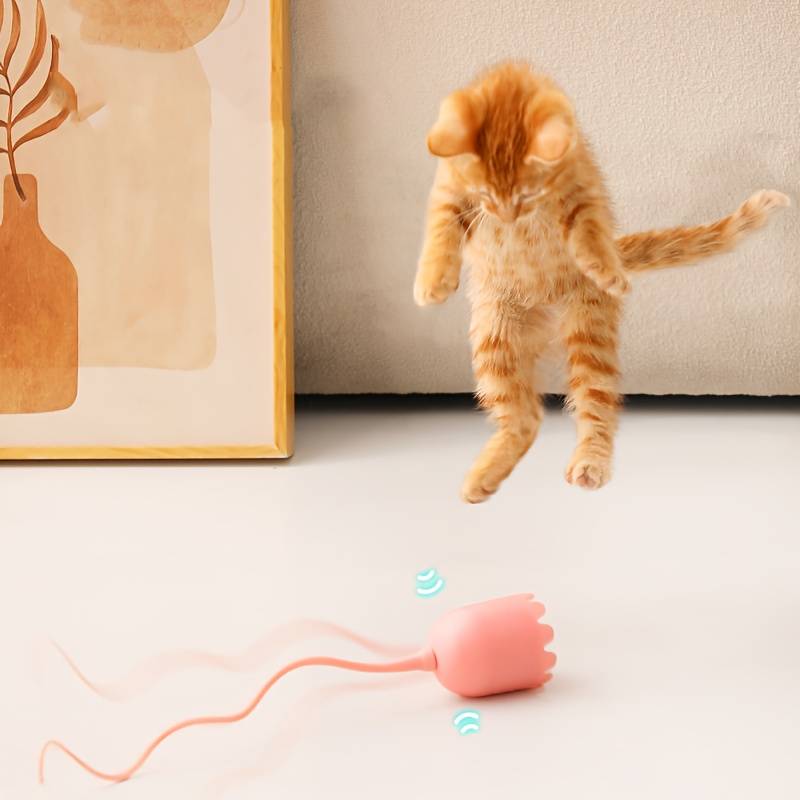 ZephPaws™ | Active Play for Happy Cats