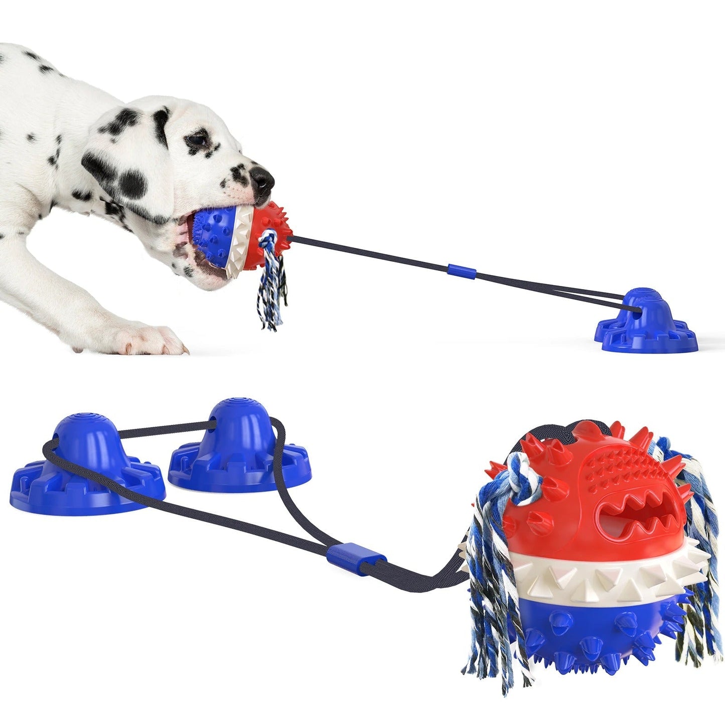 Clawzy™ | For Active Pets
