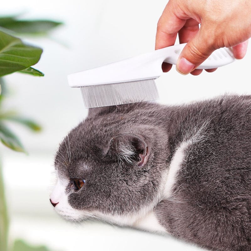 PetalSoft™ | For a Healthy Coat