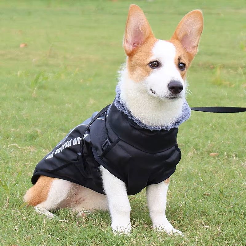 CloudTail™ | Warm Dog Coat with Reflective Details