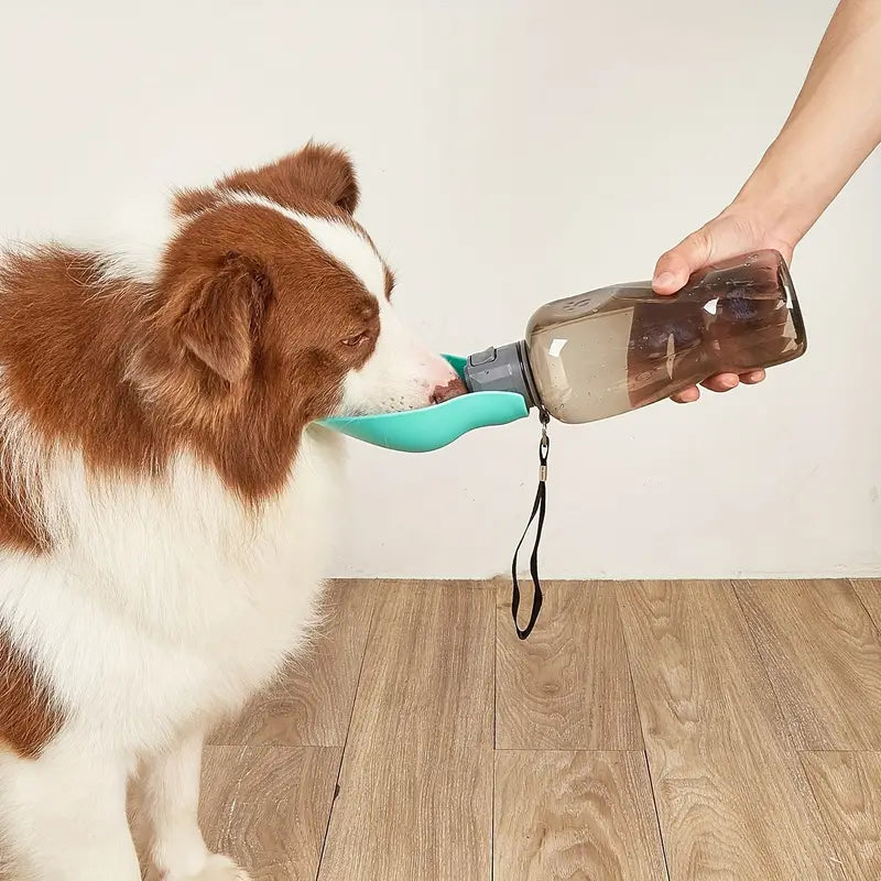 QuikSip™ | Always Fresh Water for Your Dog