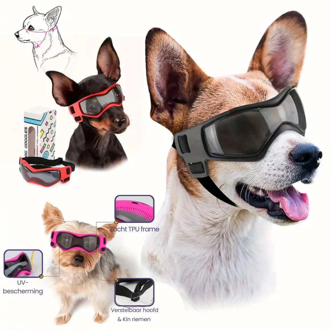 PupVisor™ | Trendy UV Dog Sunglasses