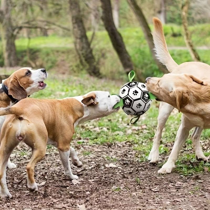 FlapFetch™ | Makes Dogs Happy and Active