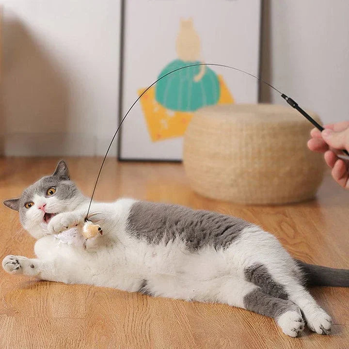 CatCatch™ | Keep Your Cat Active and Your Furniture Safe