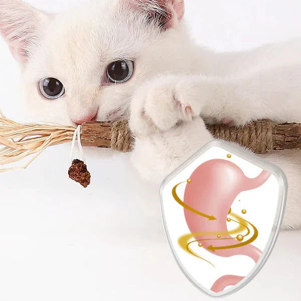 KittyBliss™ | For healthy nails without clipping