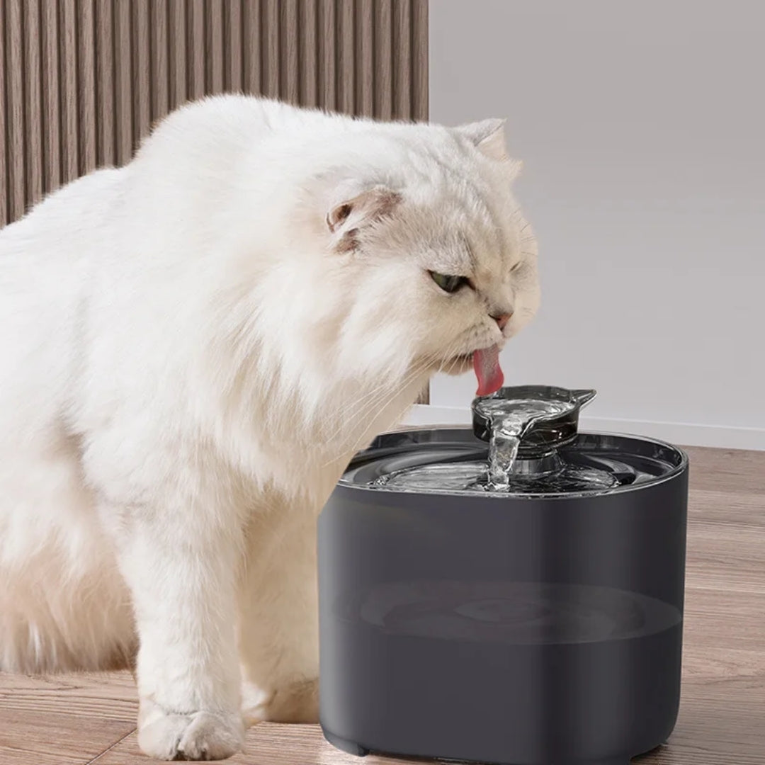 AquaWave™ | Silent and Cool Hydration