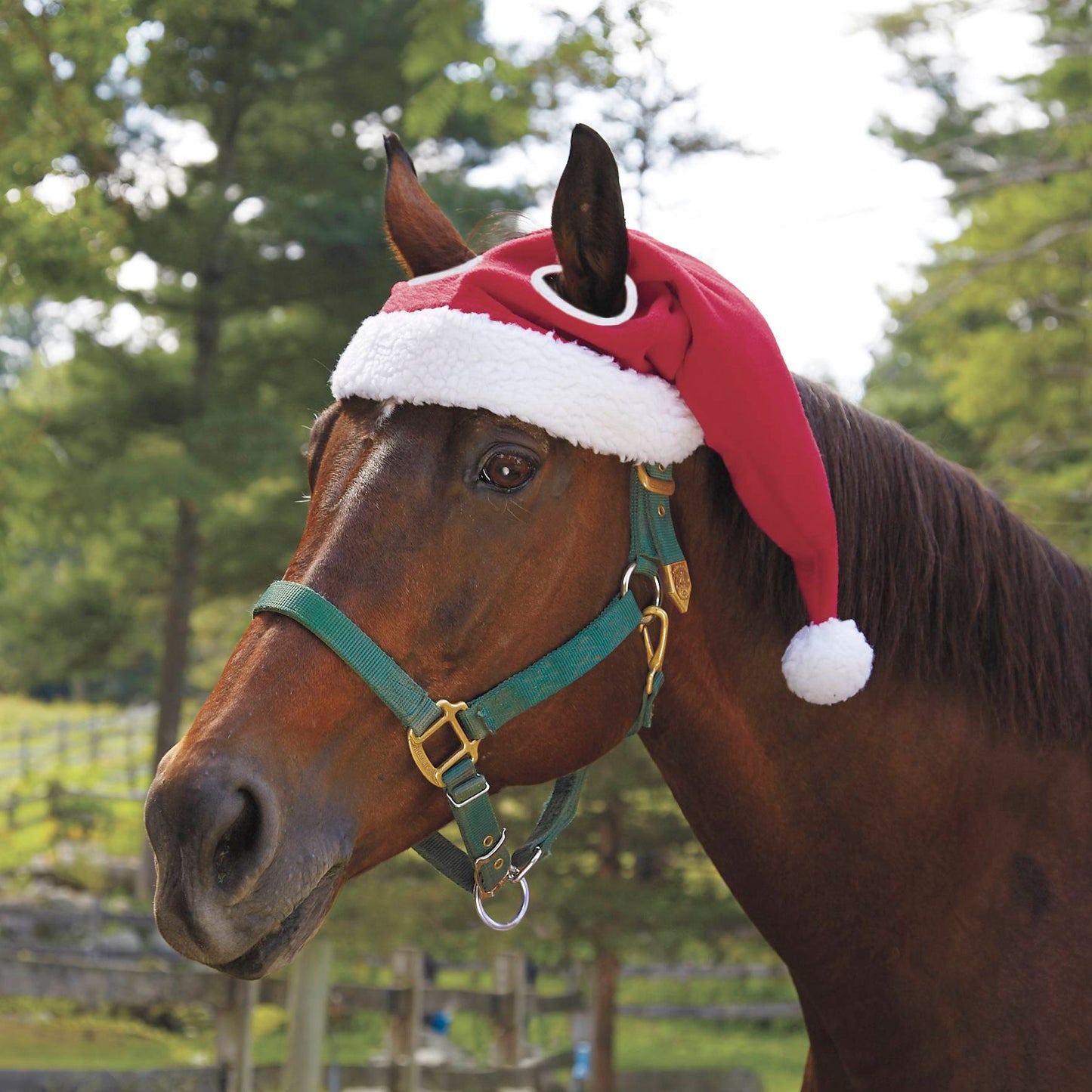 MerryPony™ | Warm Christmas Hat to Make Your Horse Shine