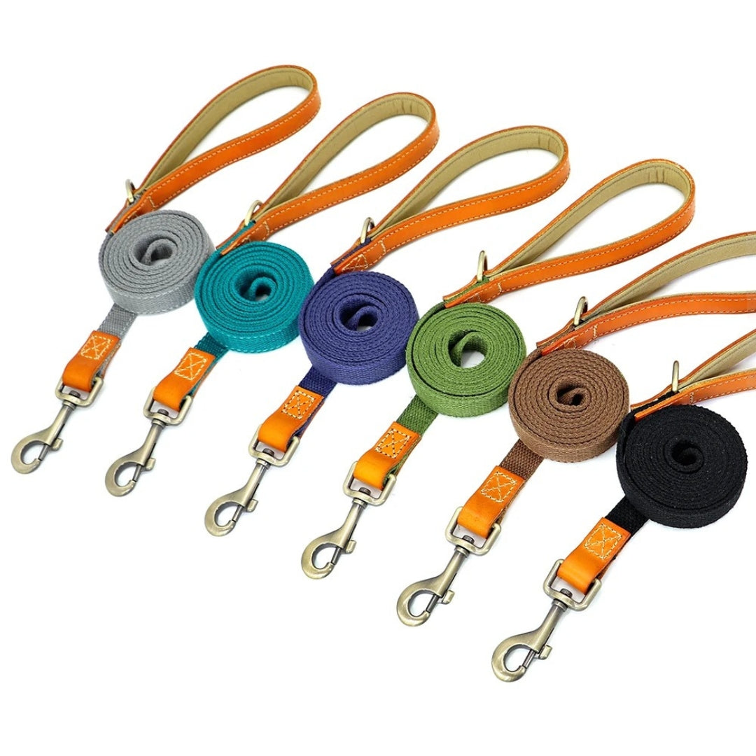 WalkPro™ | Perfect Control and Comfort