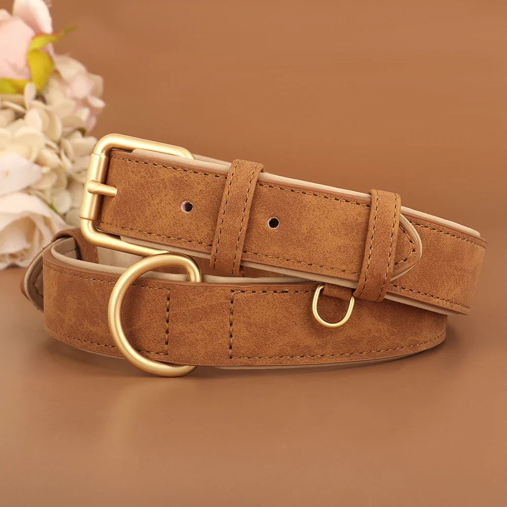 PrimePaw™ | Stylische Lederhalsband