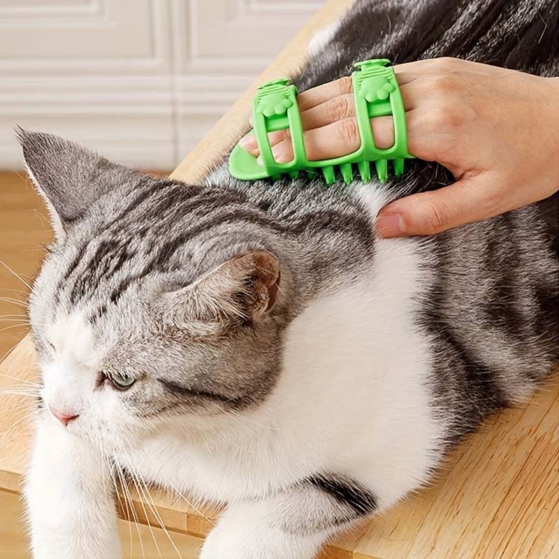 BlissPaw™ | A soft indulgence for your cat