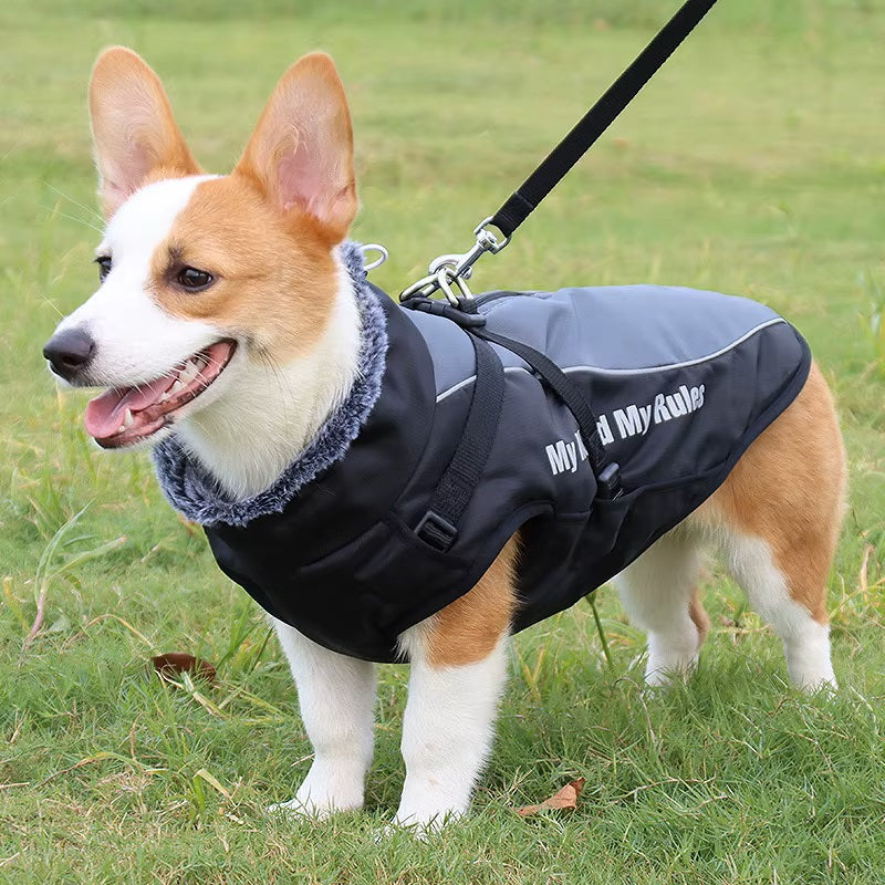 CloudTail™ | Warm Dog Coat with Reflective Details