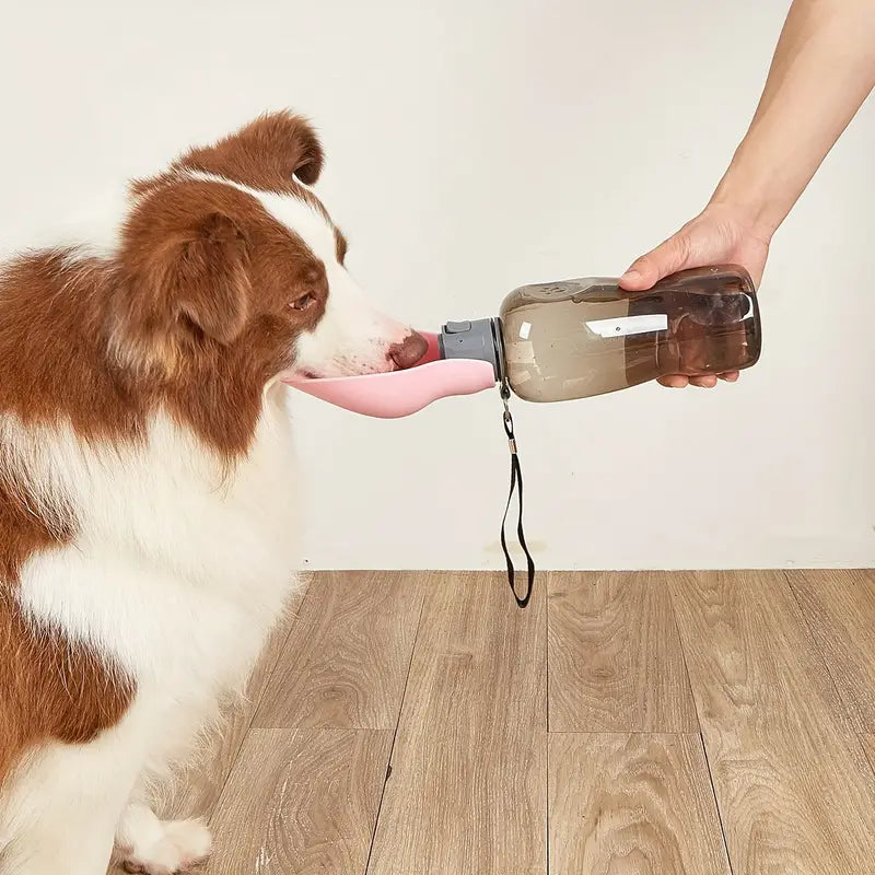QuikSip™ | Always Fresh Water for Your Dog
