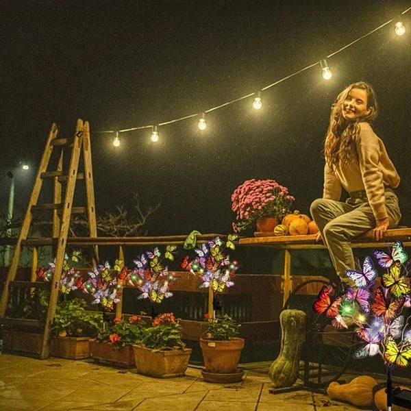 Solar Butterfly Lights for Outdoors