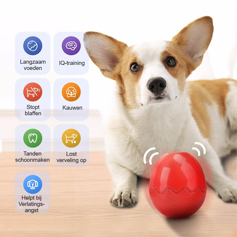 EggoPup™ | Eivorm Slow Feeder