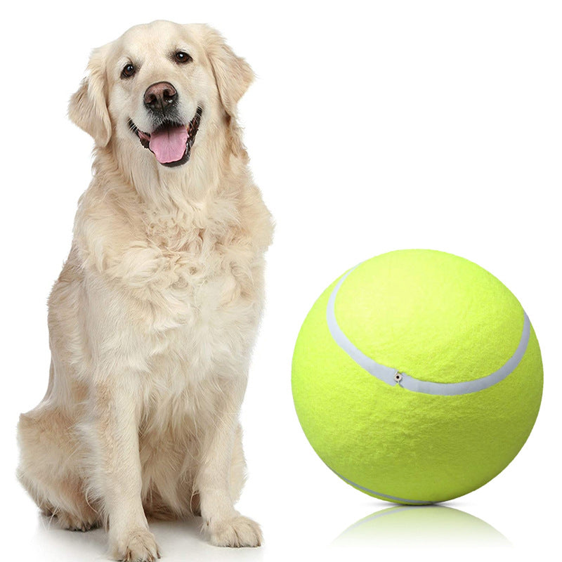 BarkBounce™ | Adventurous Play Fun