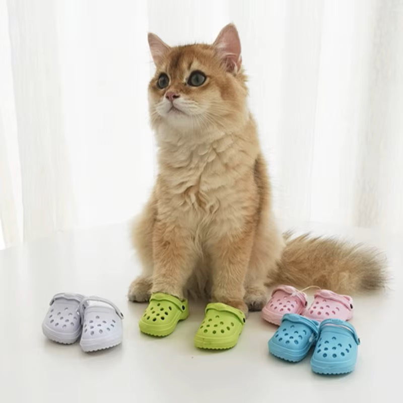 Pawlet™ | No more sores and cracks