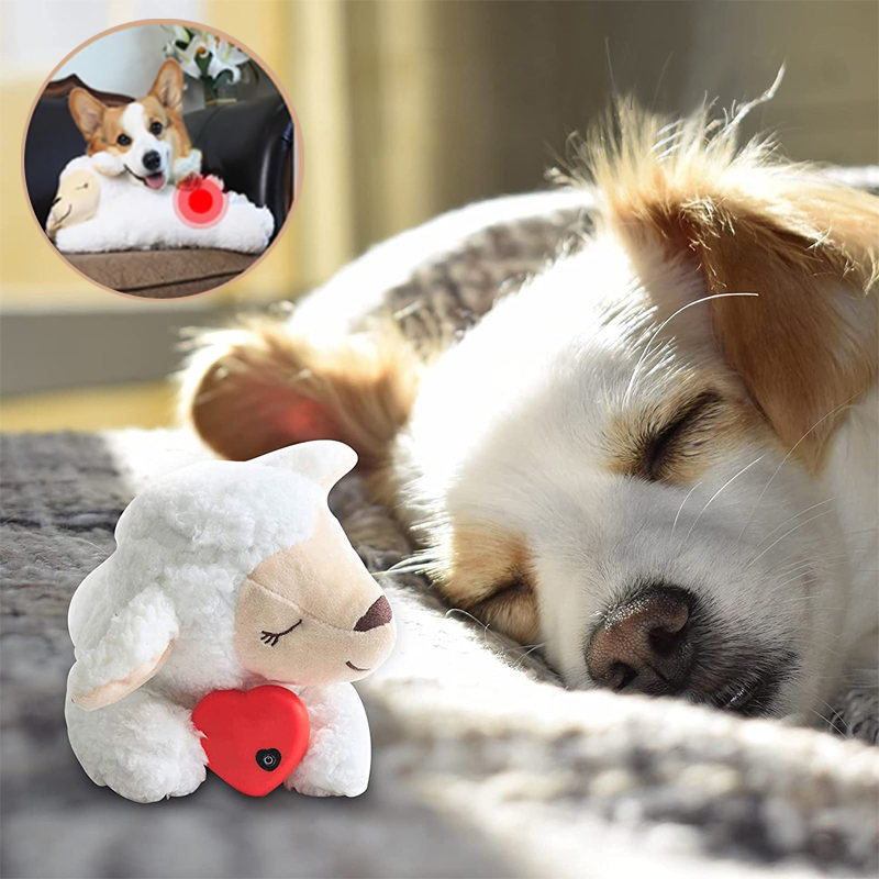 CuddleBuddy™ | For Anxiety, Barking, and Loneliness
