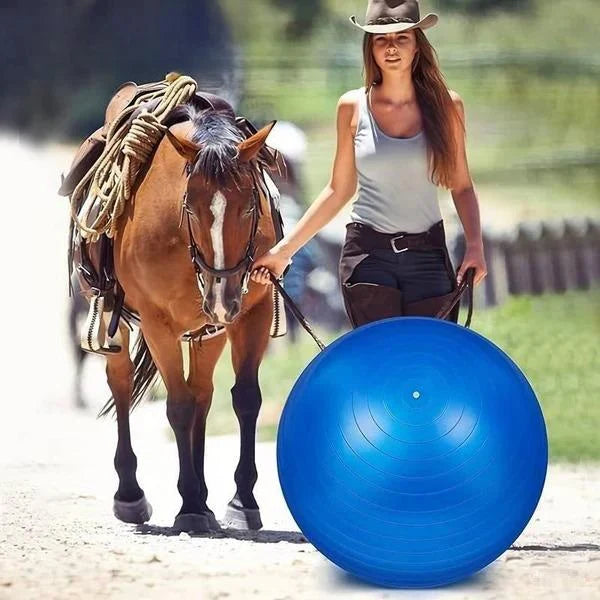 PonyPal™ | Reduce Boredom and Enhance Strength