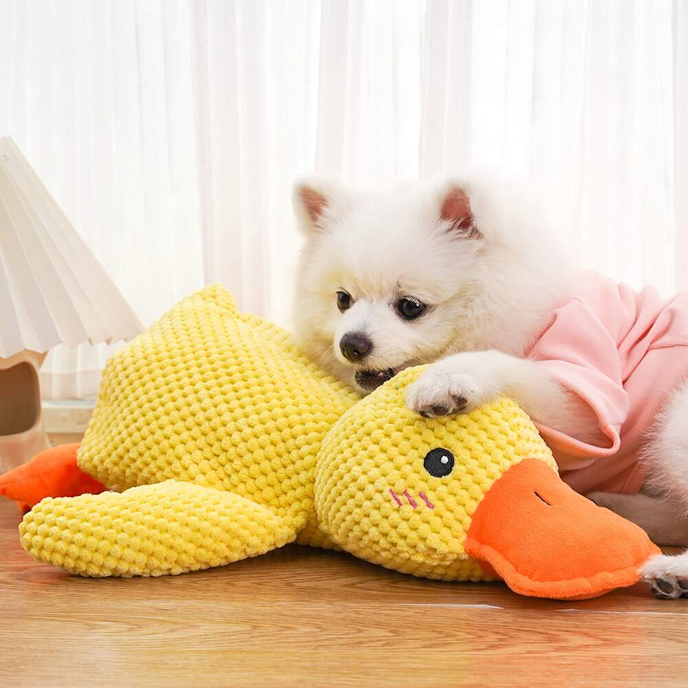 DuckyDazzle™ | Prevent Boredom and Anxiety When Home Alone