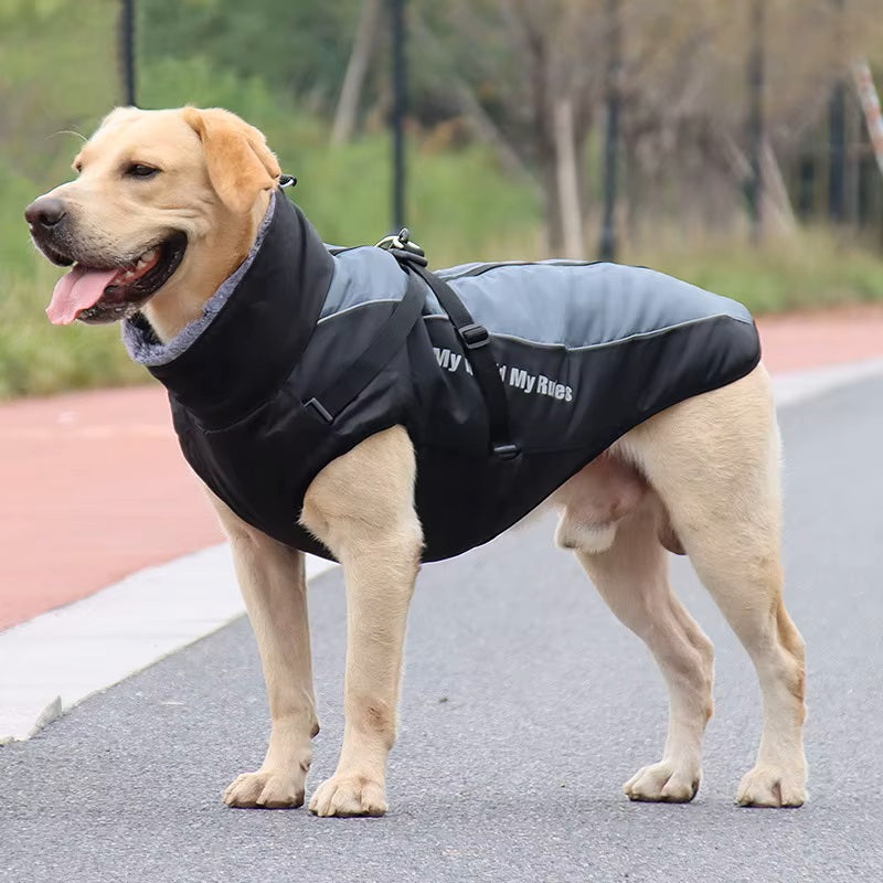 CloudTail™ | Warm Dog Coat with Reflective Details