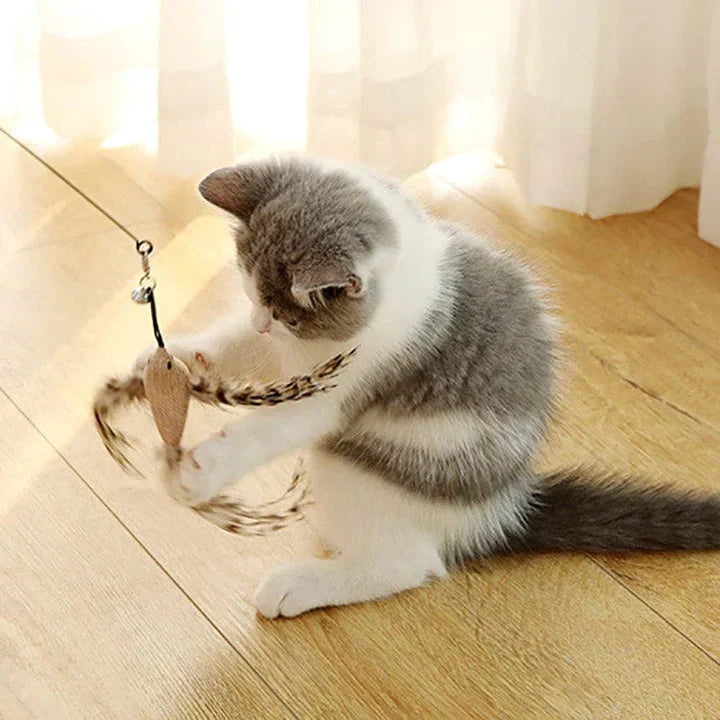 CatCatch™ | Keep Your Cat Active and Your Furniture Safe