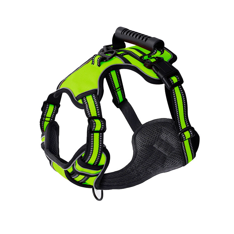 GlowFit™ | Stressfreies Gehen ohne Ziehen