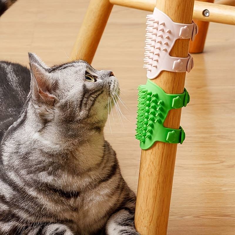 BlissPaw™ | A soft indulgence for your cat