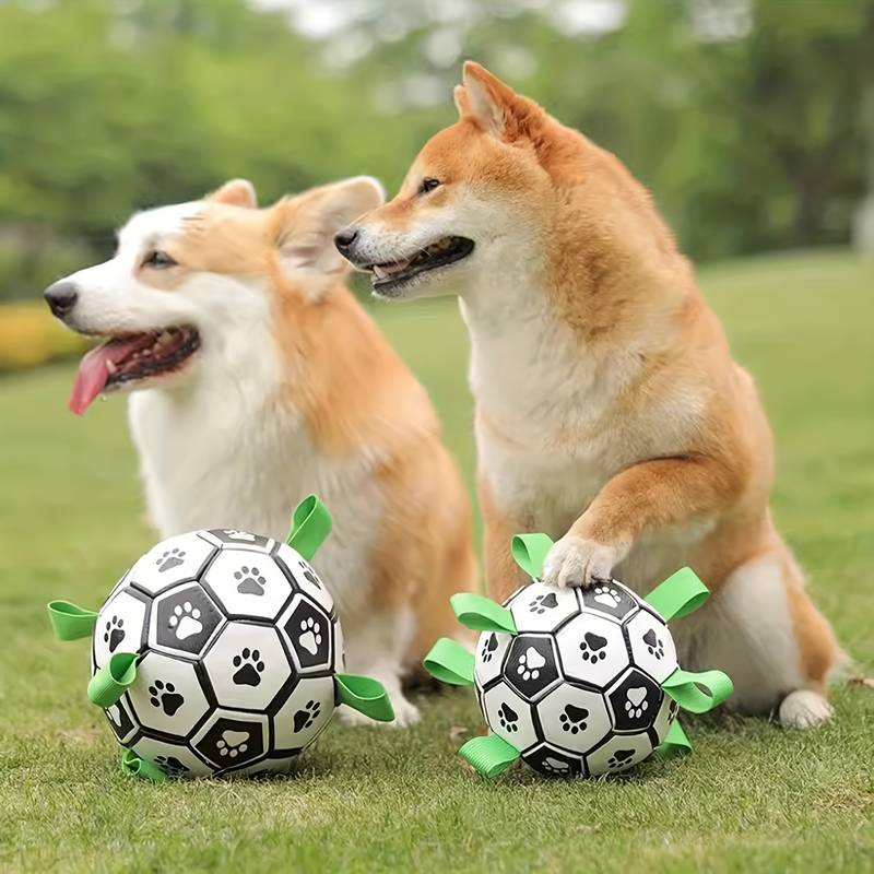 FlapFetch™ | Makes Dogs Happy and Active