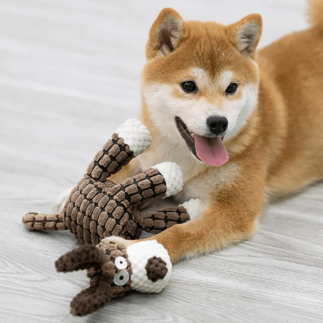 PawBite™ | The toy that lasts