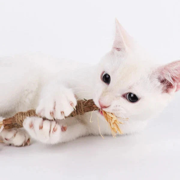 KittyBliss™ | For healthy nails without clipping