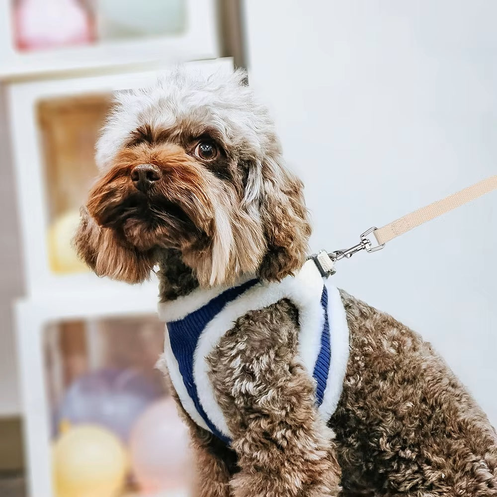 ComfyPaw™ | Perfect Control and Adjustable