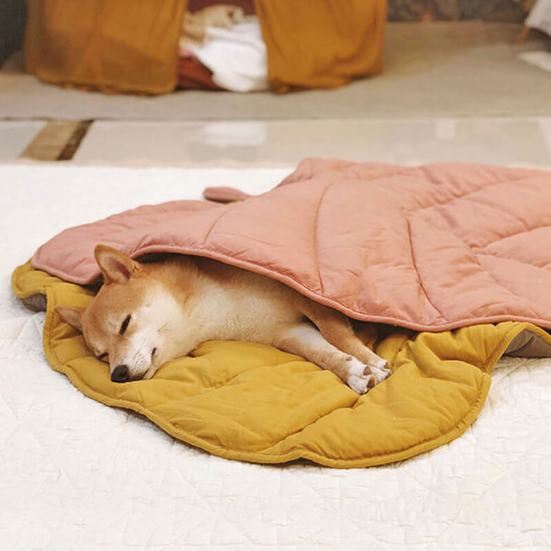 PetLeaf™ | Calming Orthopaedic Blanket