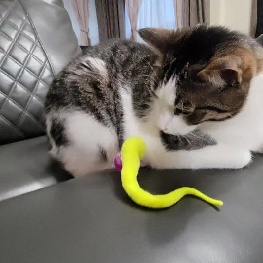Wobble Ball voor Katten