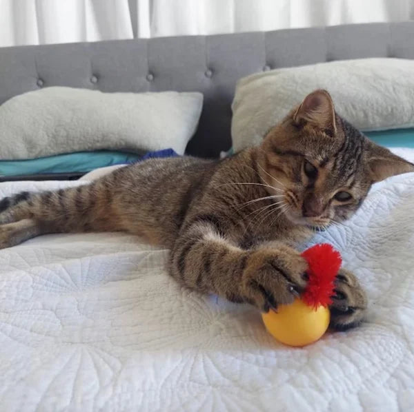 Wobble Ball voor Katten