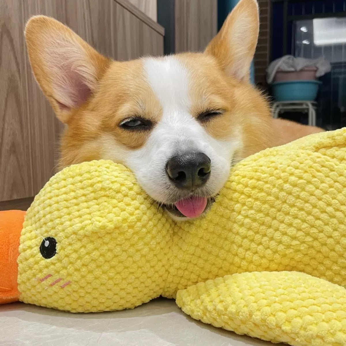 DuckyDazzle™ | Prevent Boredom and Anxiety When Home Alone