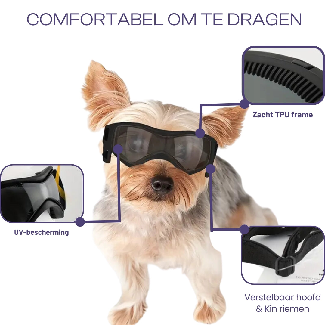 PupVisor™ | Trendy UV Dog Sunglasses