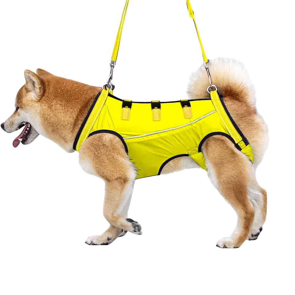 LiftHound™ | Rehabilitation and Recovery Support Harness