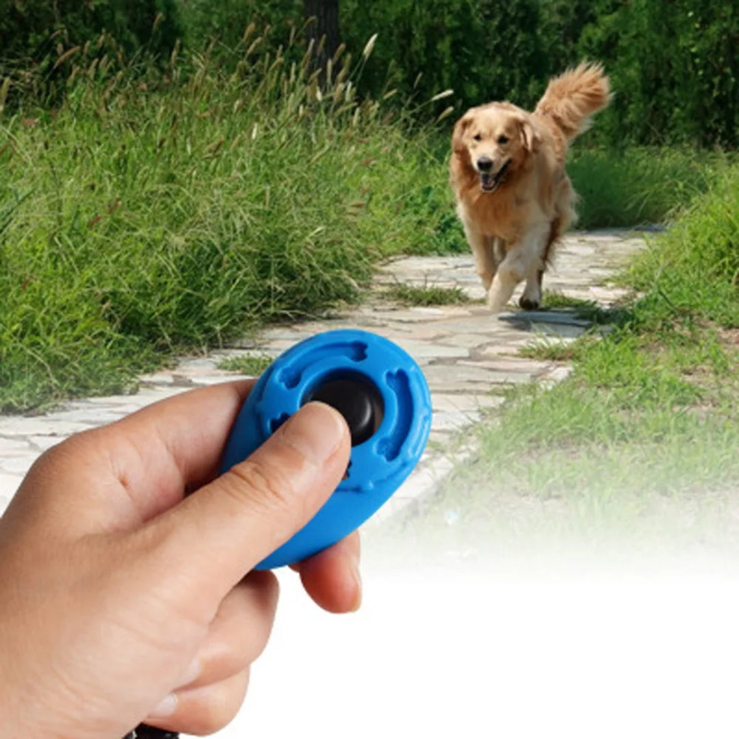 Clickzy™ | Clear Click, Quick Training!