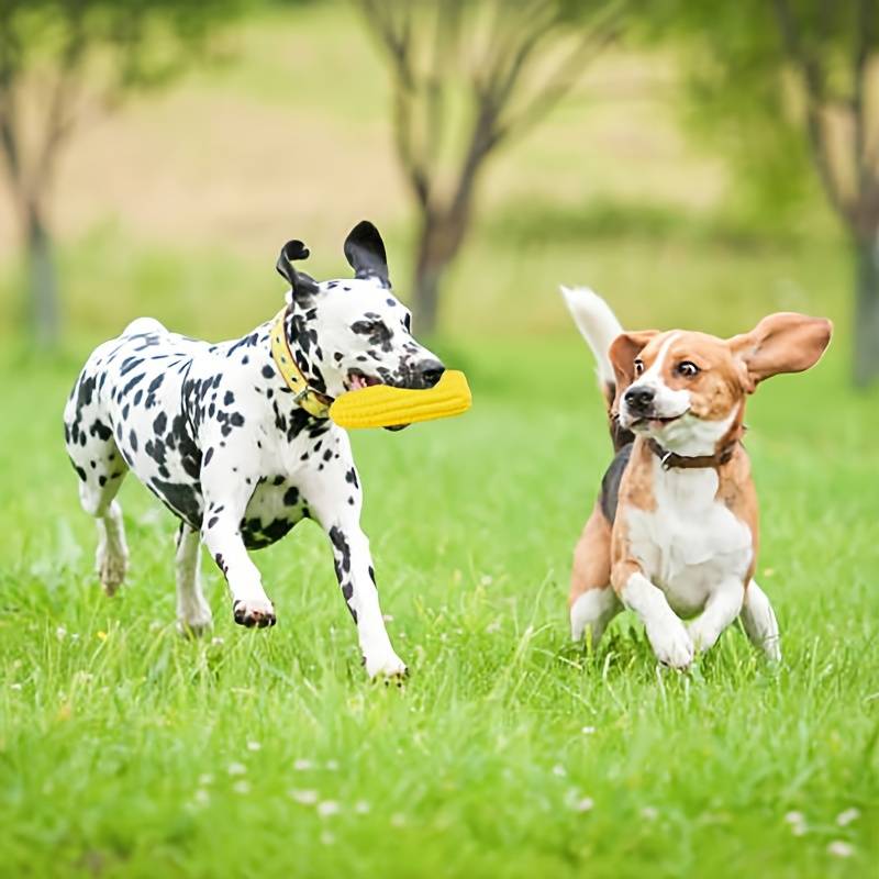 CornCraze™ | Corn-shaped Chew Toy for Dogs