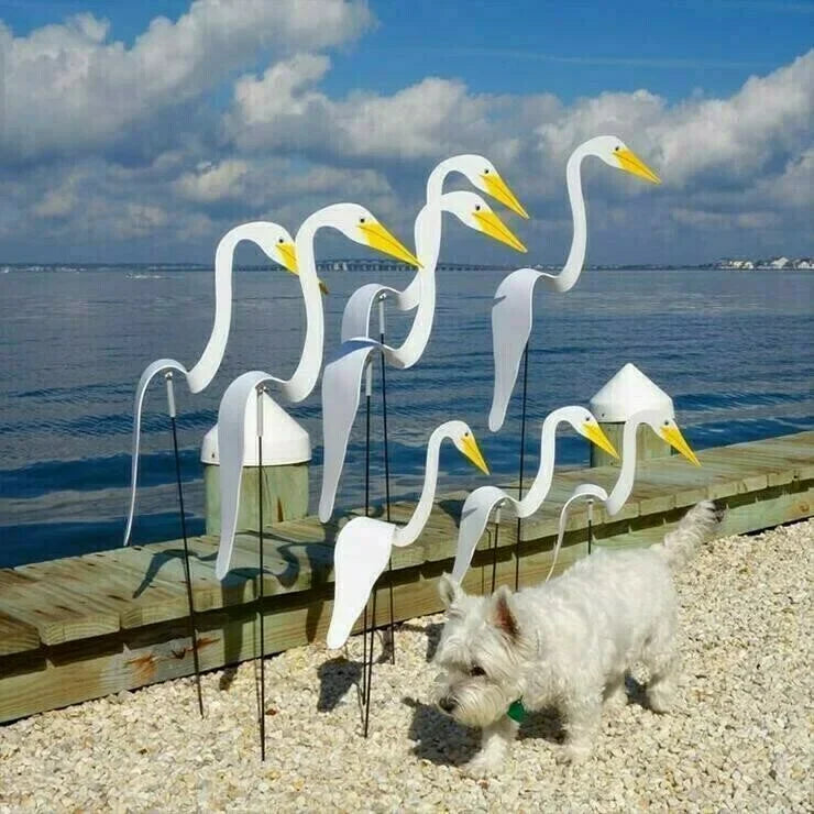 WhirlWing™ - Dansende Vogels Tuin Metaalkunst
