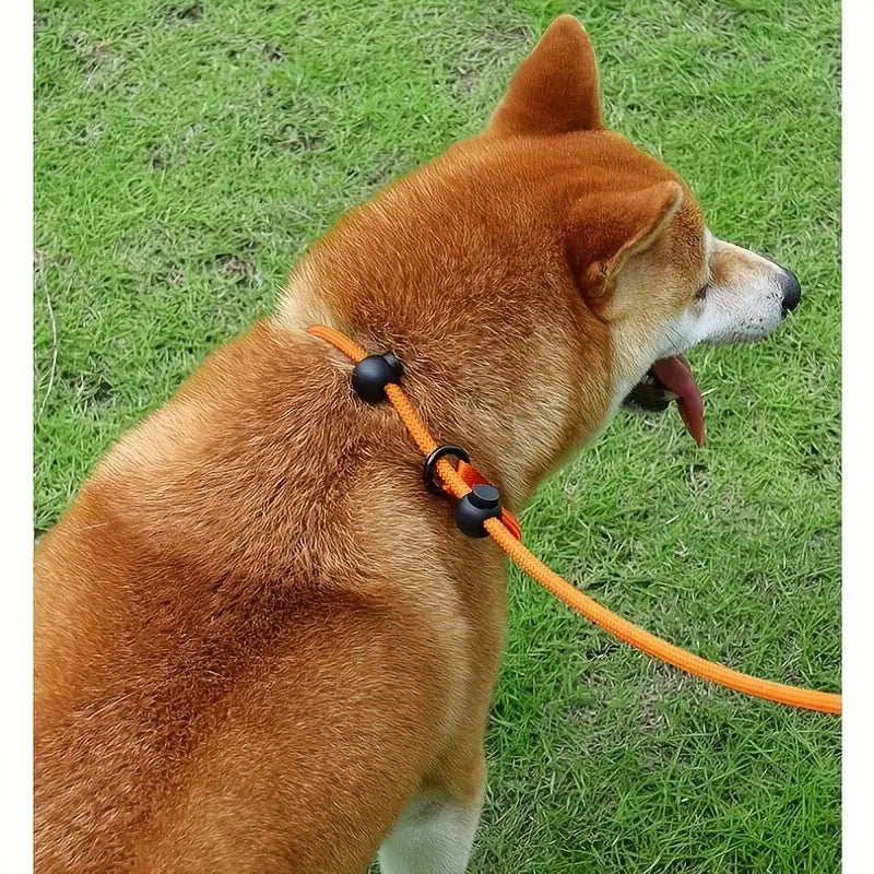 ComfiStep™ | All-in-One Training and Walking Lead
