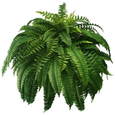 UV-resistant, lifelike artificial Boston Fern