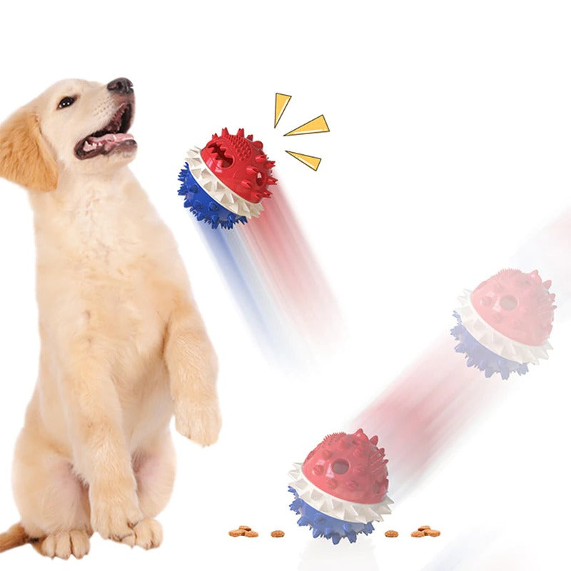 Clawzy™ | For Active Pets