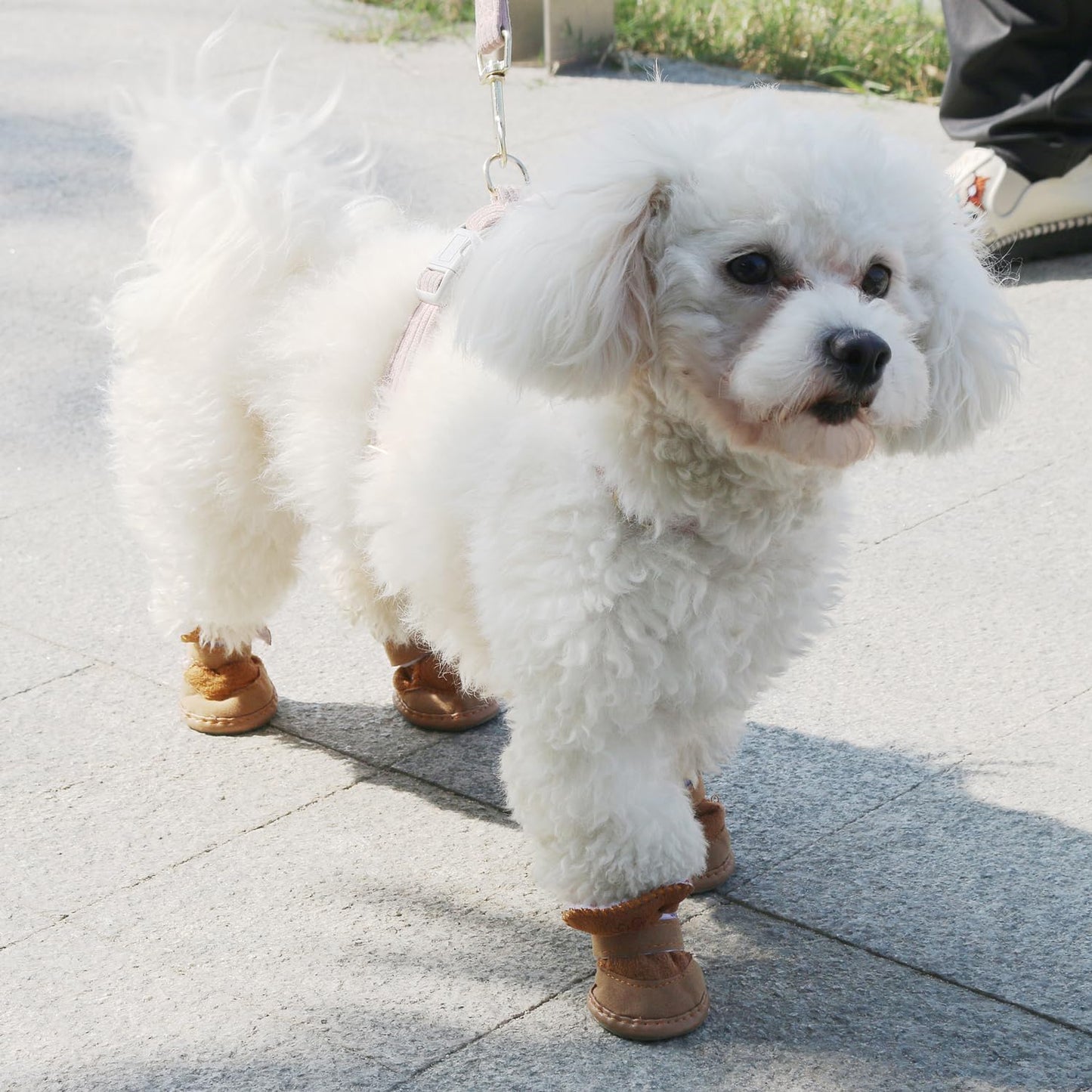 CozySteps™ | Warm boots for cold paws
