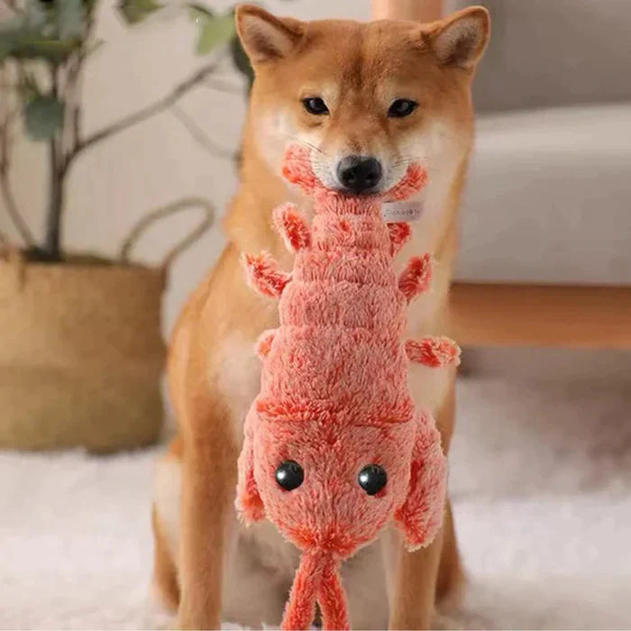 PawLobster™ | Prevent boredom and keep your dog happy