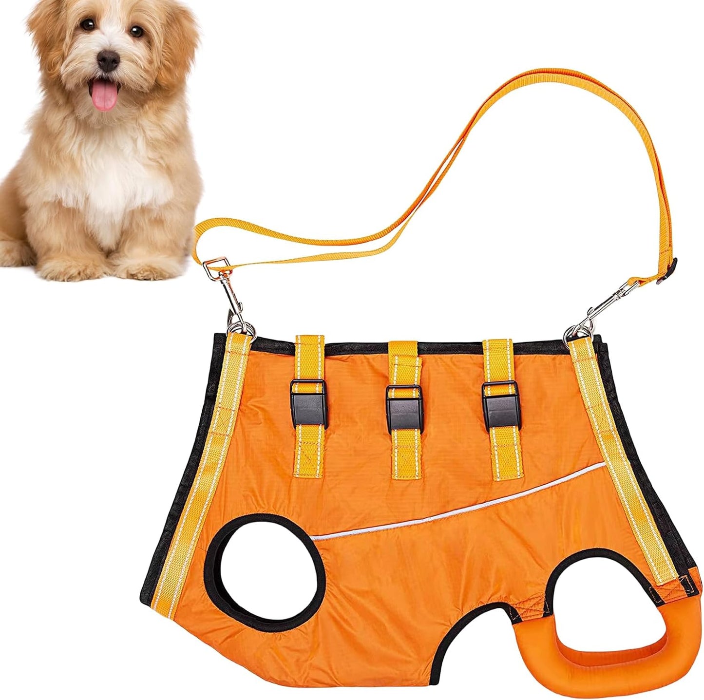 LiftHound™ | Rehabilitation and Recovery Support Harness